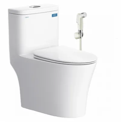 Bồn cầu 1 khối Viglacera V63