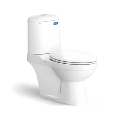 Bồn cầu hai khối VI107